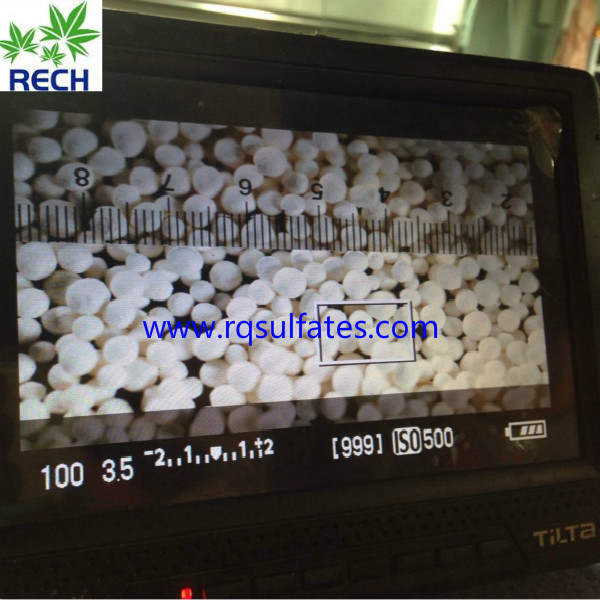 Zinc Sulfate Monohydrate Granular 2-4mm