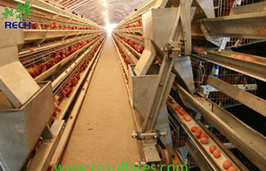 The ferrous sulfate dosage in chicken feed